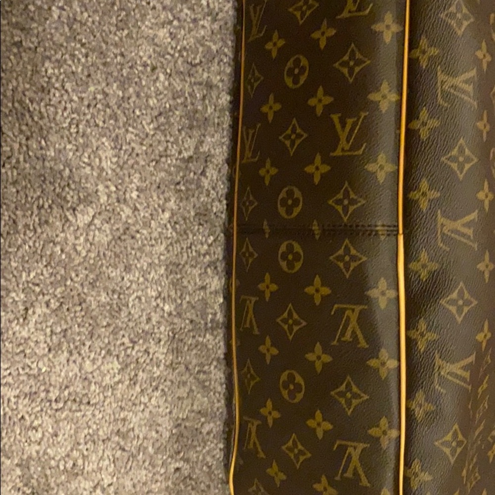 Louis Vuitton Delightful MM - Picture 3 of 8